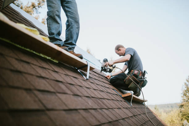 Quick and Trustworthy Emergency Roof Repair Services in Canon, GA