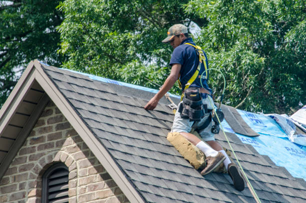 Best Roof Gutter Cleaning  in Canon, GA